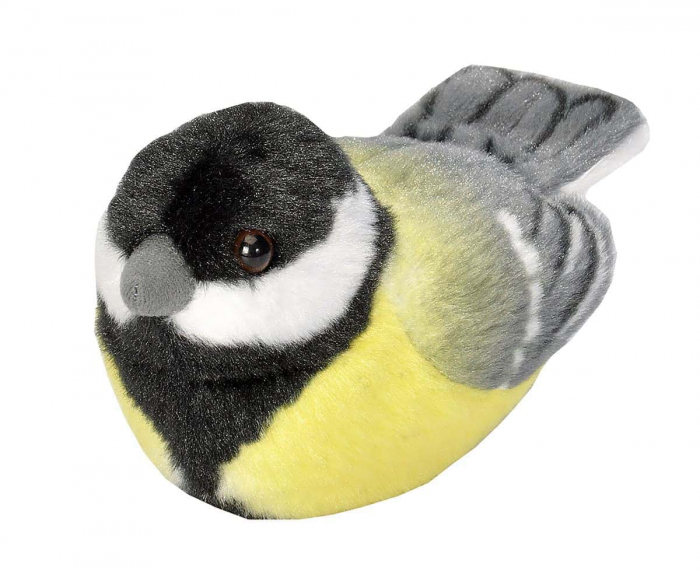 Pasare cu sunet Pitigoi Mare - GREAT TIT [1]