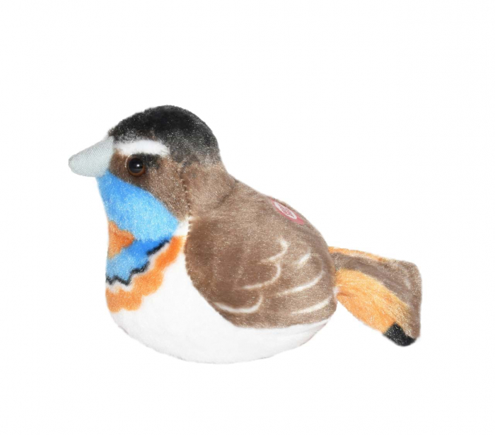 Pasare cu sunet Privighetoare Gusa Vanata - BLUETHROAT [3]