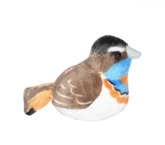 Pasare cu sunet Privighetoare Gusa Vanata - BLUETHROAT [4]