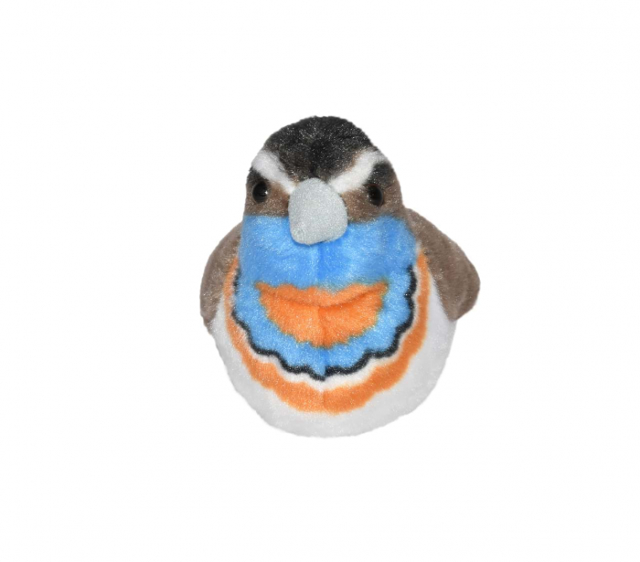 Pasare cu sunet Privighetoare Gusa Vanata - BLUETHROAT [2]