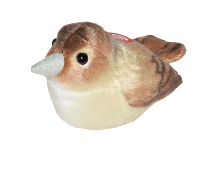 Pasare cu sunet Privighetoare - NIGHTINGALE [1]