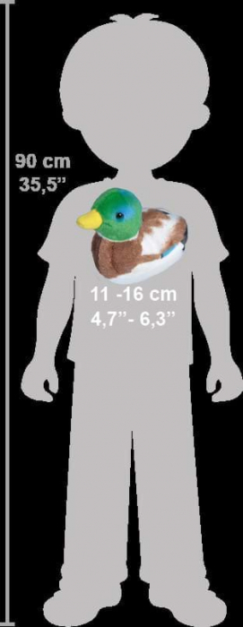 Pasare cu sunet Rata Salbatica - MALLARD DUCK [6]