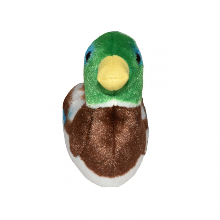 Pasare cu sunet Rata Salbatica - MALLARD DUCK [2]