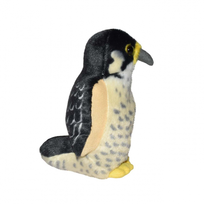 Pasare cu sunet Soim Calator - PEREGRINE FALCON [4]