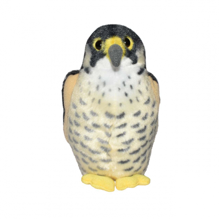 Pasare cu sunet Soim Calator - PEREGRINE FALCON [2]