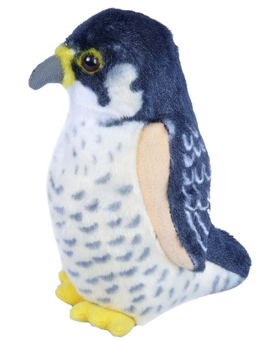 Pasare cu sunet Soim Calator - PEREGRINE FALCON [1]