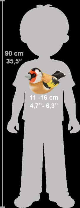 Pasare cu sunet Sticlete - EUROPEAN GOLDFINCH [6]