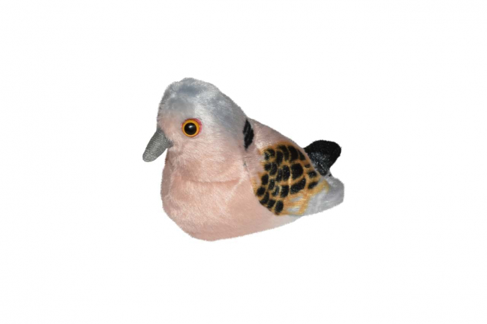 Pasare cu sunet Turturea - TURTLE DOVE [3]