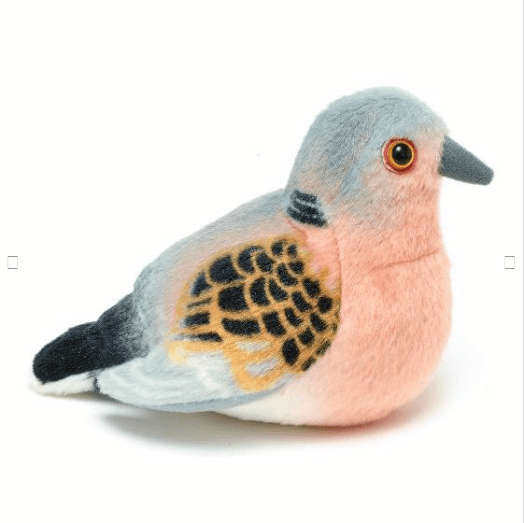 Pasare cu sunet Turturea - TURTLE DOVE [2]