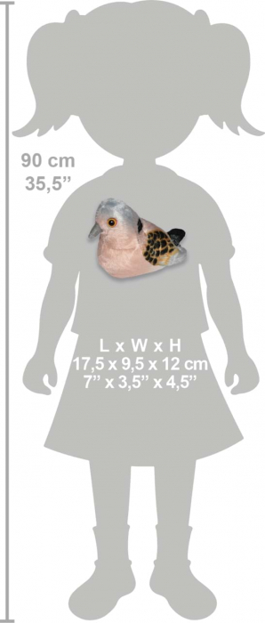 Pasare cu sunet Turturea - TURTLE DOVE [4]