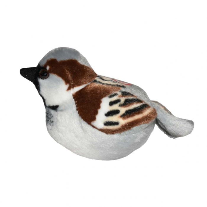 Pasare cu sunet Vrabiuta - HOUSE SPARROW [3]