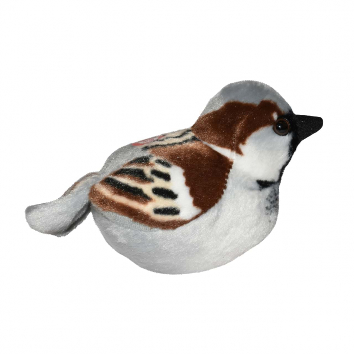 Pasare cu sunet Vrabiuta - HOUSE SPARROW [4]