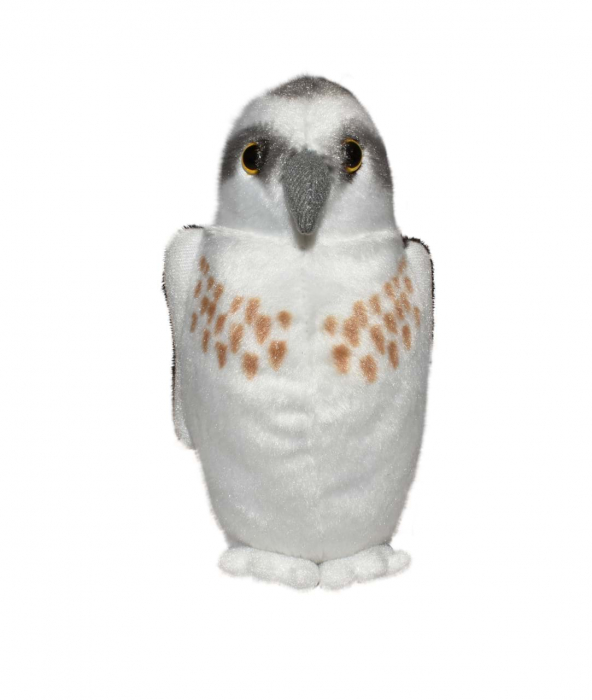 Pasare cu sunet Vultur Pescar - OSPREY [2]