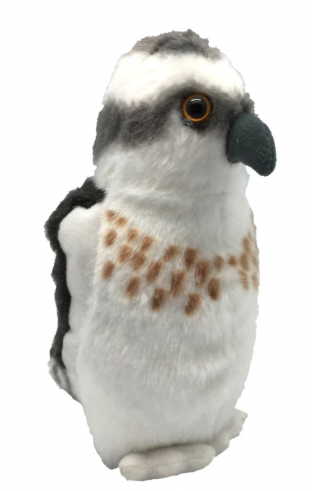 Pasare cu sunet Vultur Pescar - OSPREY [1]