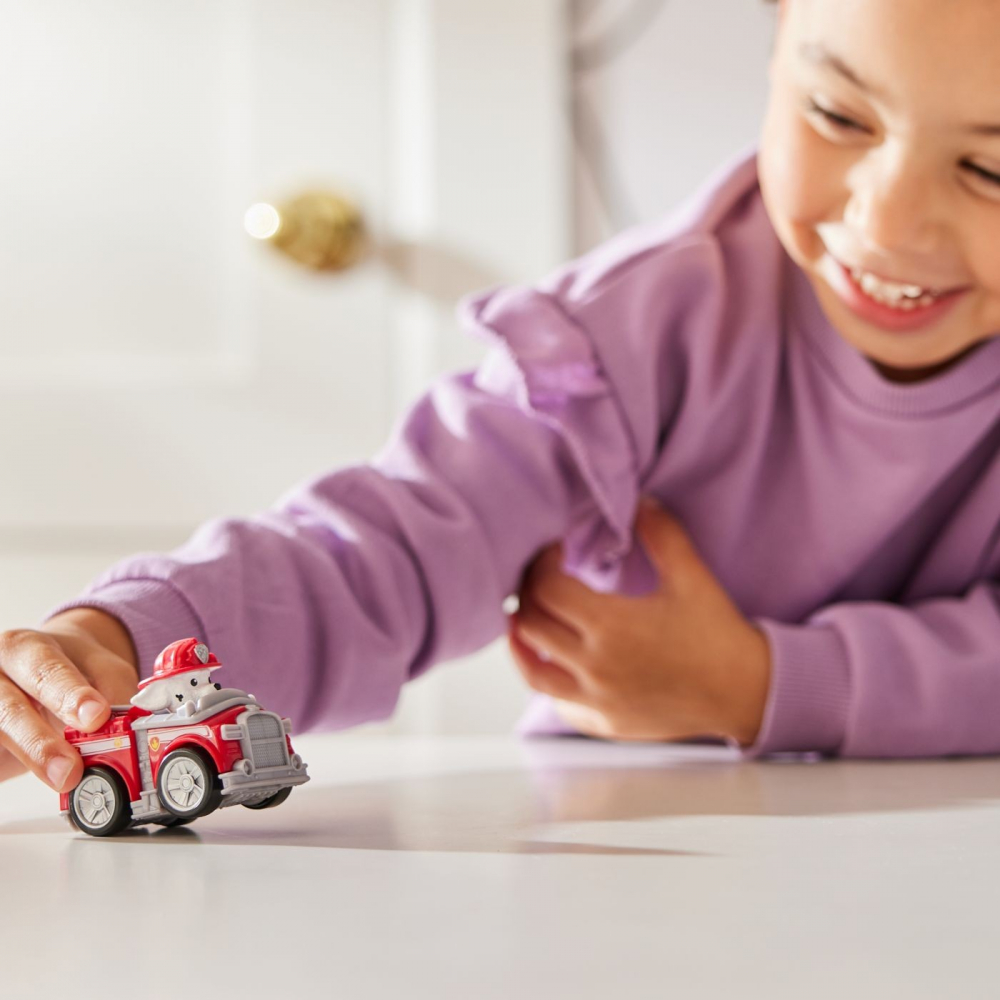 Patrula catelusilor pup squad racers vehicul cu figurina marshall, varsta de la 3 ani la 7 ani [3]