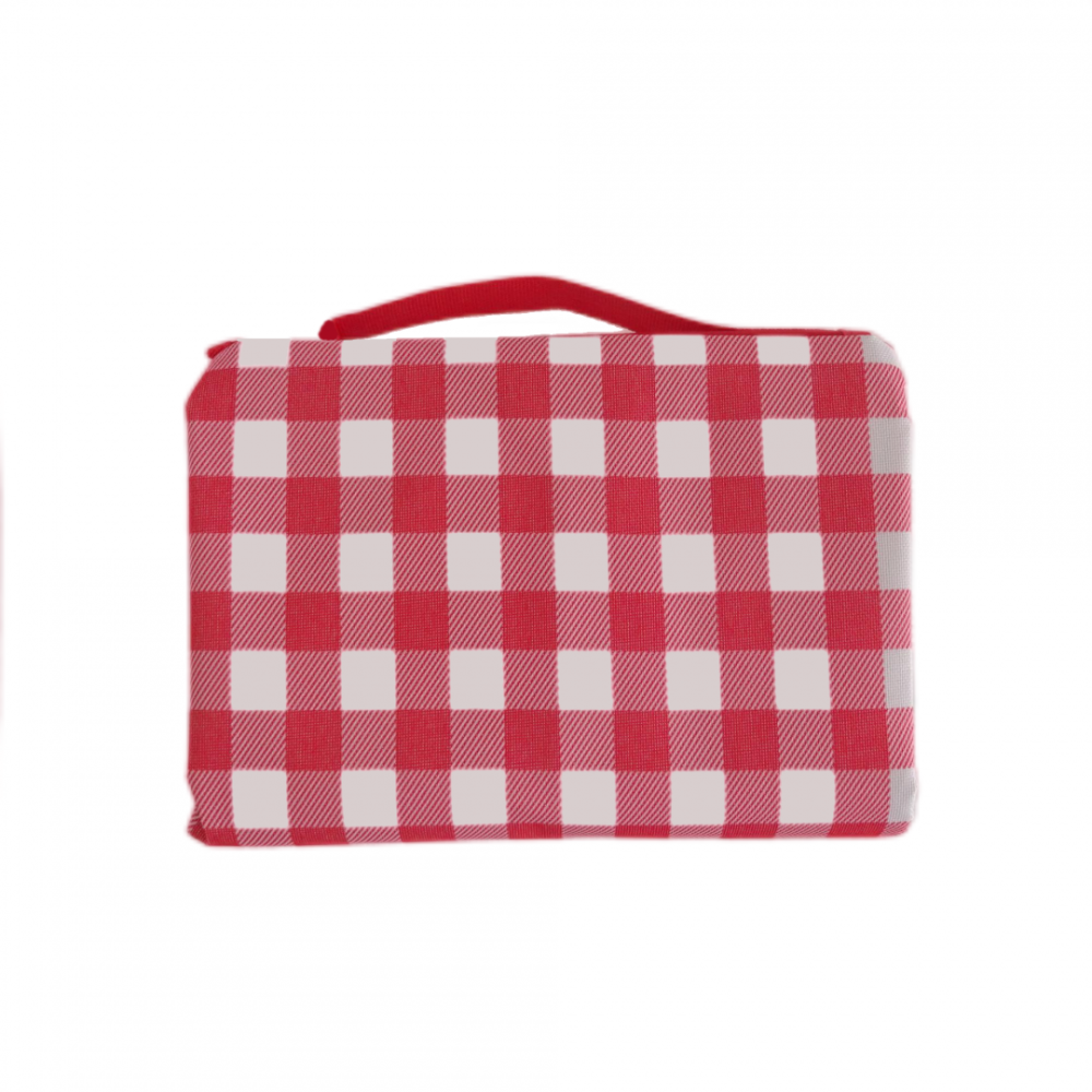 Patura picnic 145x200 cm carouri [2]