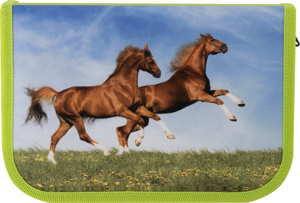 Penar echipat 42 piese cai eberhard faber [4]