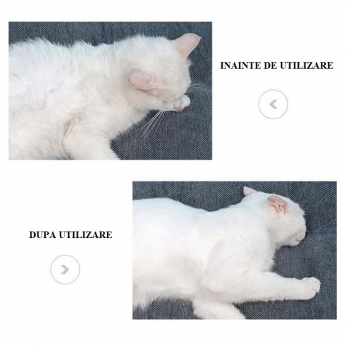 Perie par animale, Caini si Pisici, Autocuratare, Roz - Micostore.ro [4]