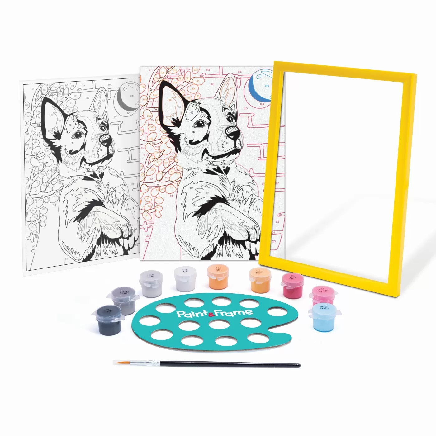 Husky jucaus, Picteaza si inrameaza, 9 ani+, varsta de la 9 ani la +15 ani [2]