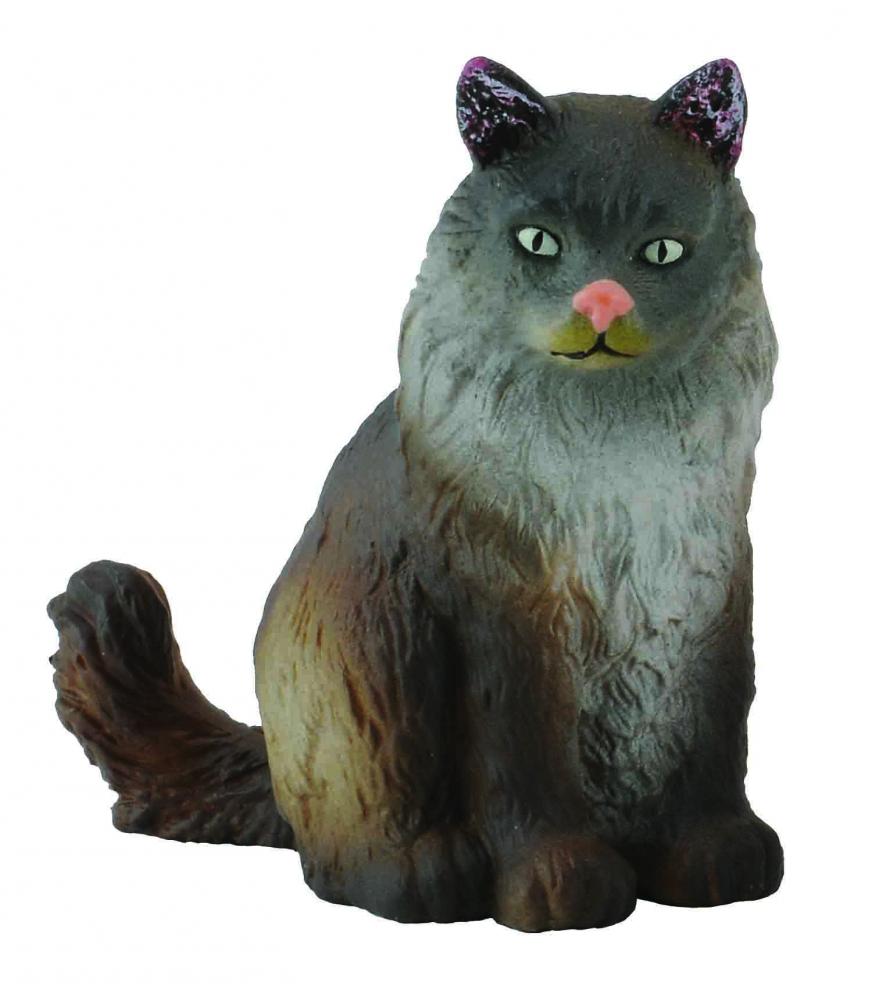 Pisica norvegiana din padure  - Collecta [1]