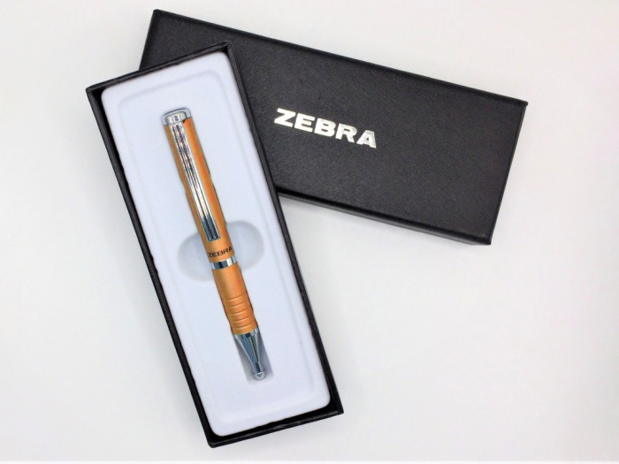 Pix Zebra SL-F1 [3]