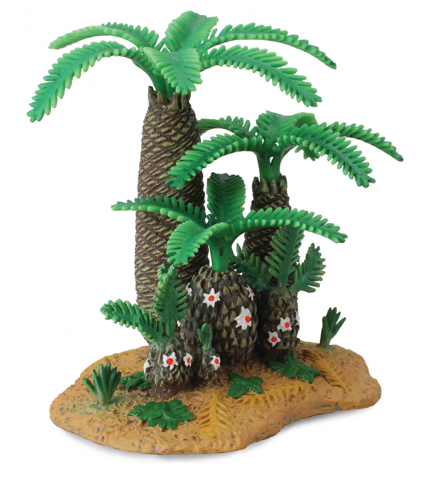 Plantele Monanthesia si Cycadeoidea - Collecta [1]