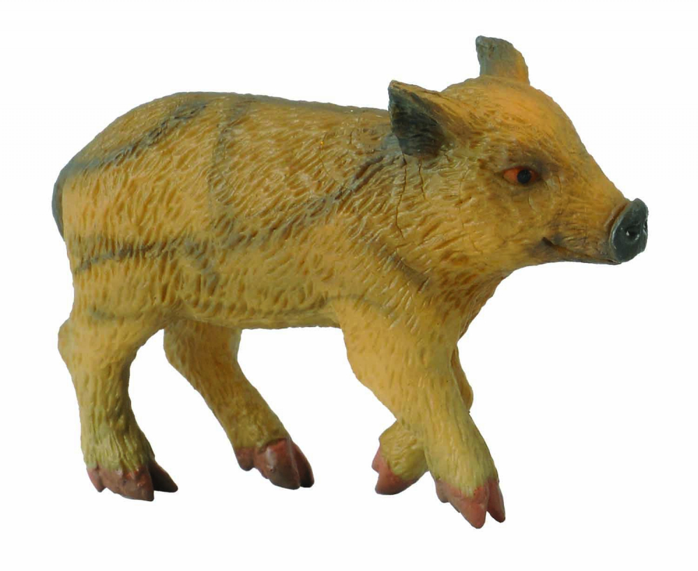 Porc mistret mergand - Collecta [1]