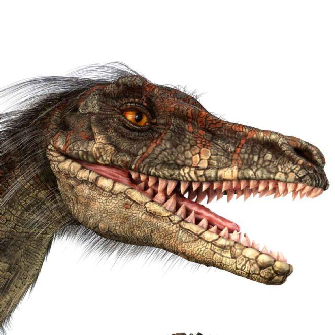 Proiector tip lanterna - Dinozauri [10]