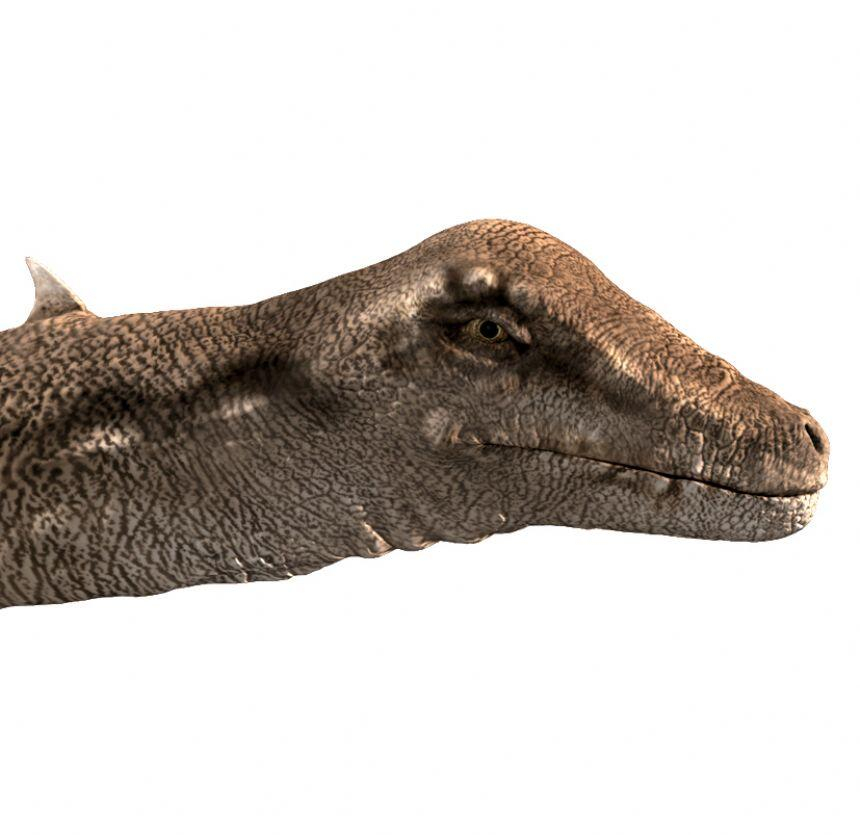 Proiector tip lanterna - Dinozauri [11]