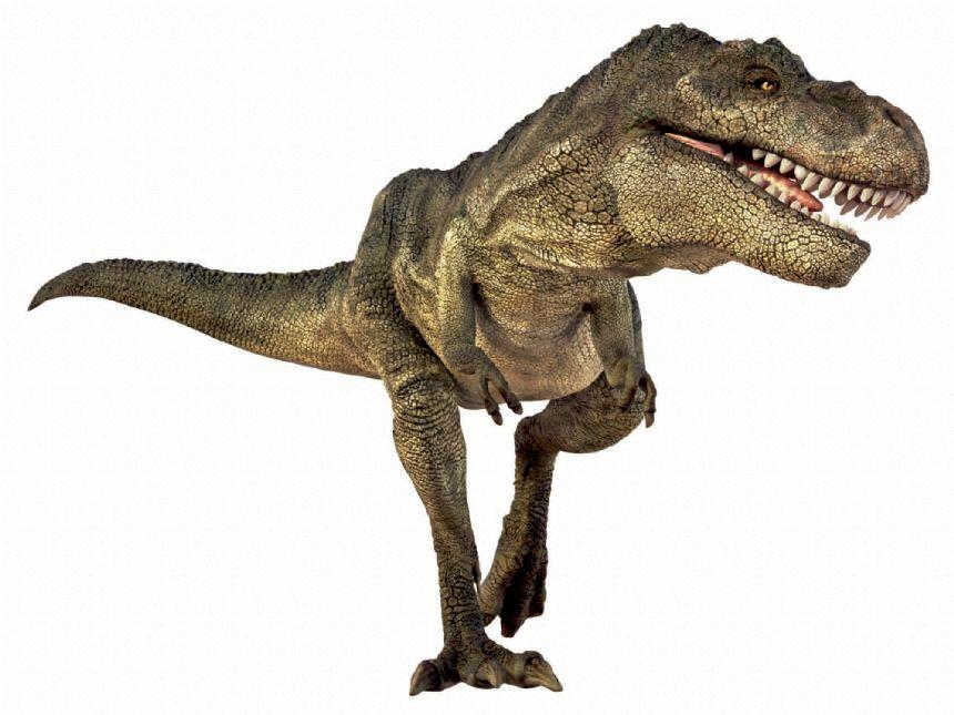 Proiector tip lanterna - Dinozauri [8]