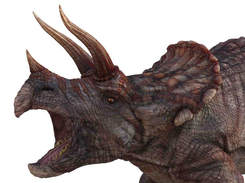 Proiector tip lanterna - Dinozauri [12]