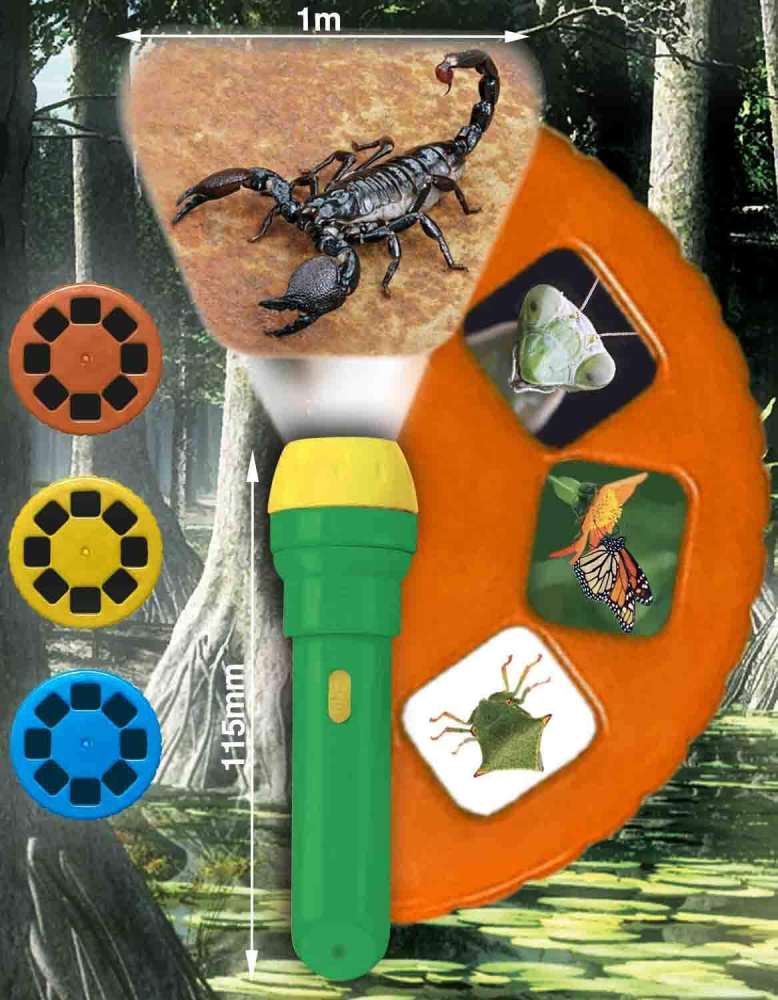 Proiector tip lanterna - Insecte [3]
