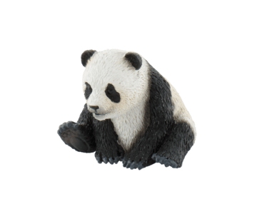 Pui de urs panda [1]
