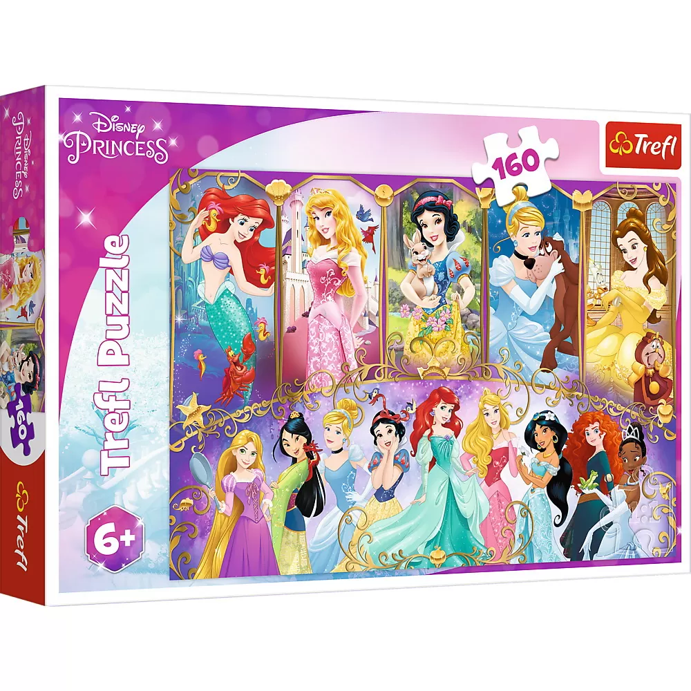 Puzzle 160 portretele printeselor [1]