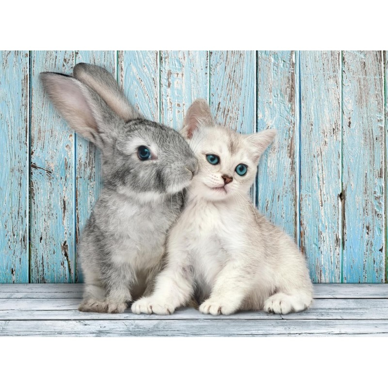 Puzzle carton 500 piese Clementoni Iepuras si Pisica, 35004, 10+ ani [2]