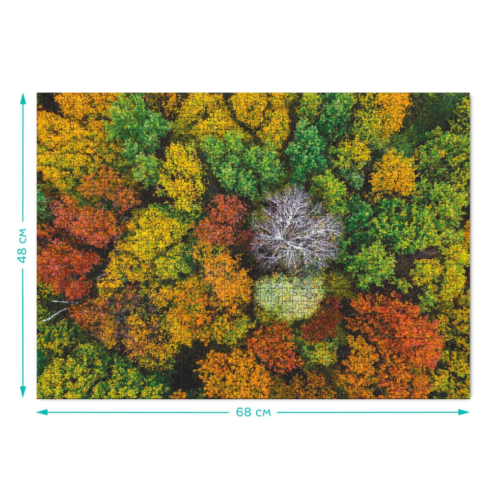 Puzzle Culorile Padurii, 1000 piese, copii varsta 8+ ani [3]