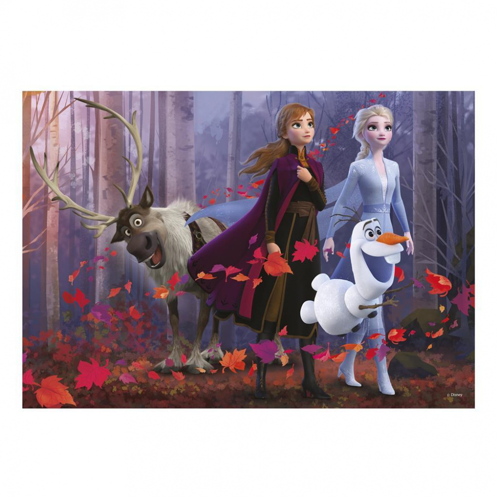 Puzzle - Frozen II (300 piese XL) [2]