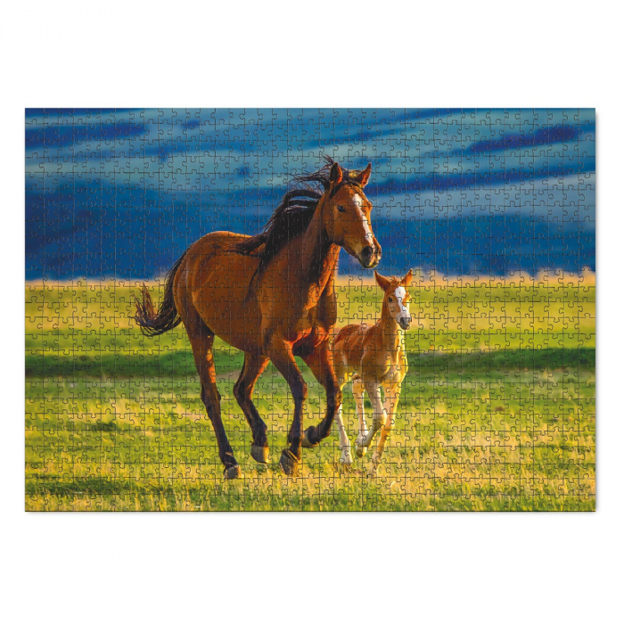 Puzzle Iapa cu manz, 1000 piese, 8+ ani [2]