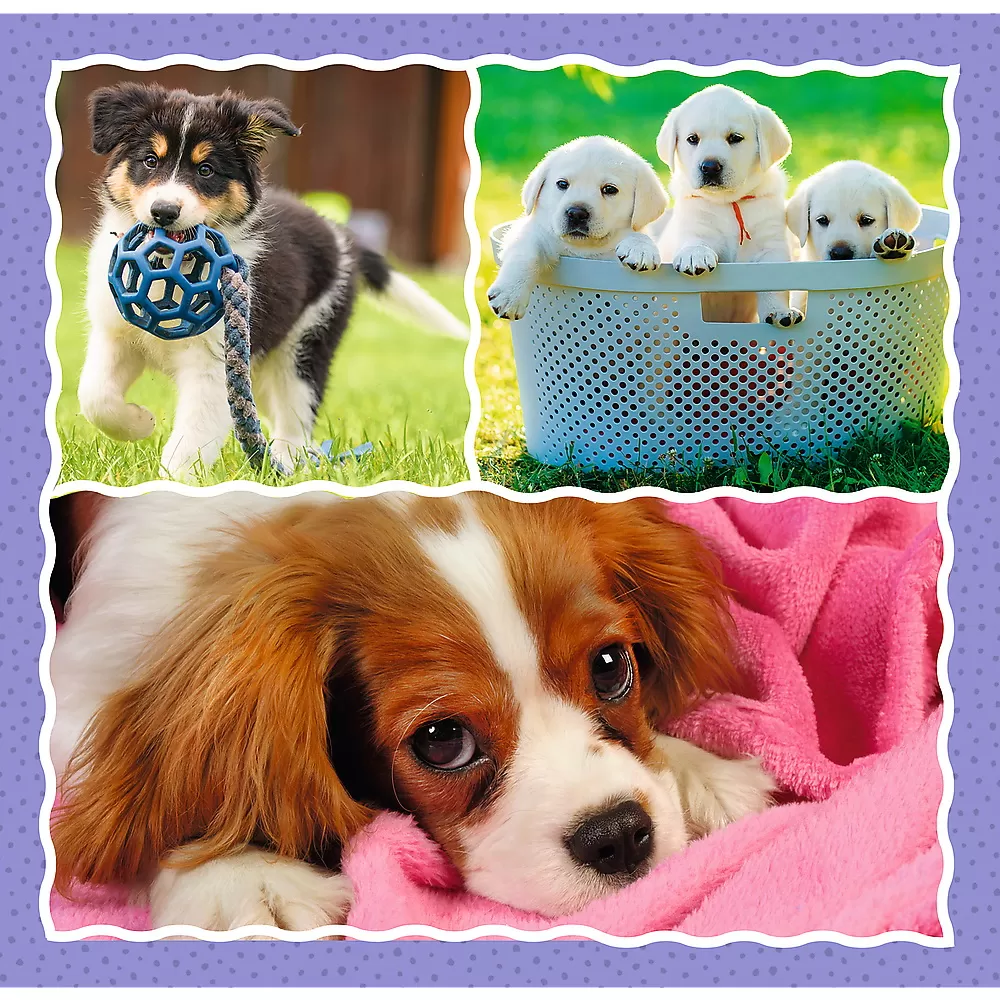 Puzzle trefl 3in1 catelusii adorabili [2]