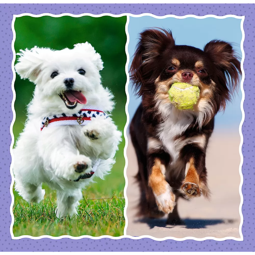 Puzzle trefl 3in1 catelusii adorabili [3]