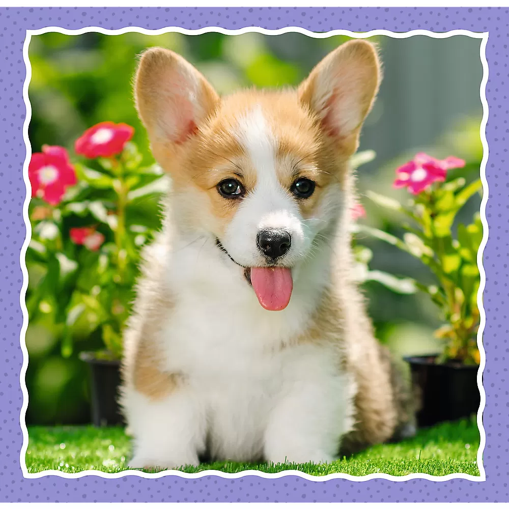 Puzzle trefl 3in1 catelusii adorabili [4]