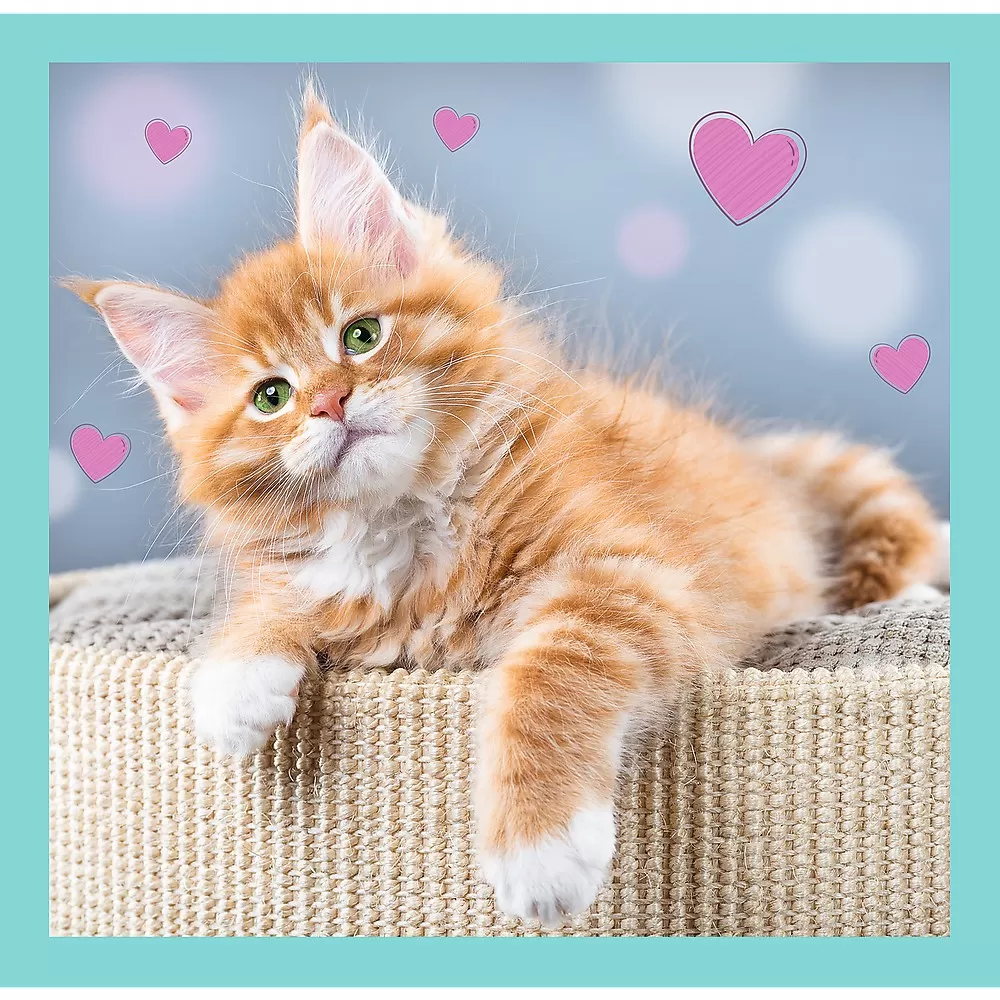 Puzzle trefl 3in1 pisicutele dragalase [3]