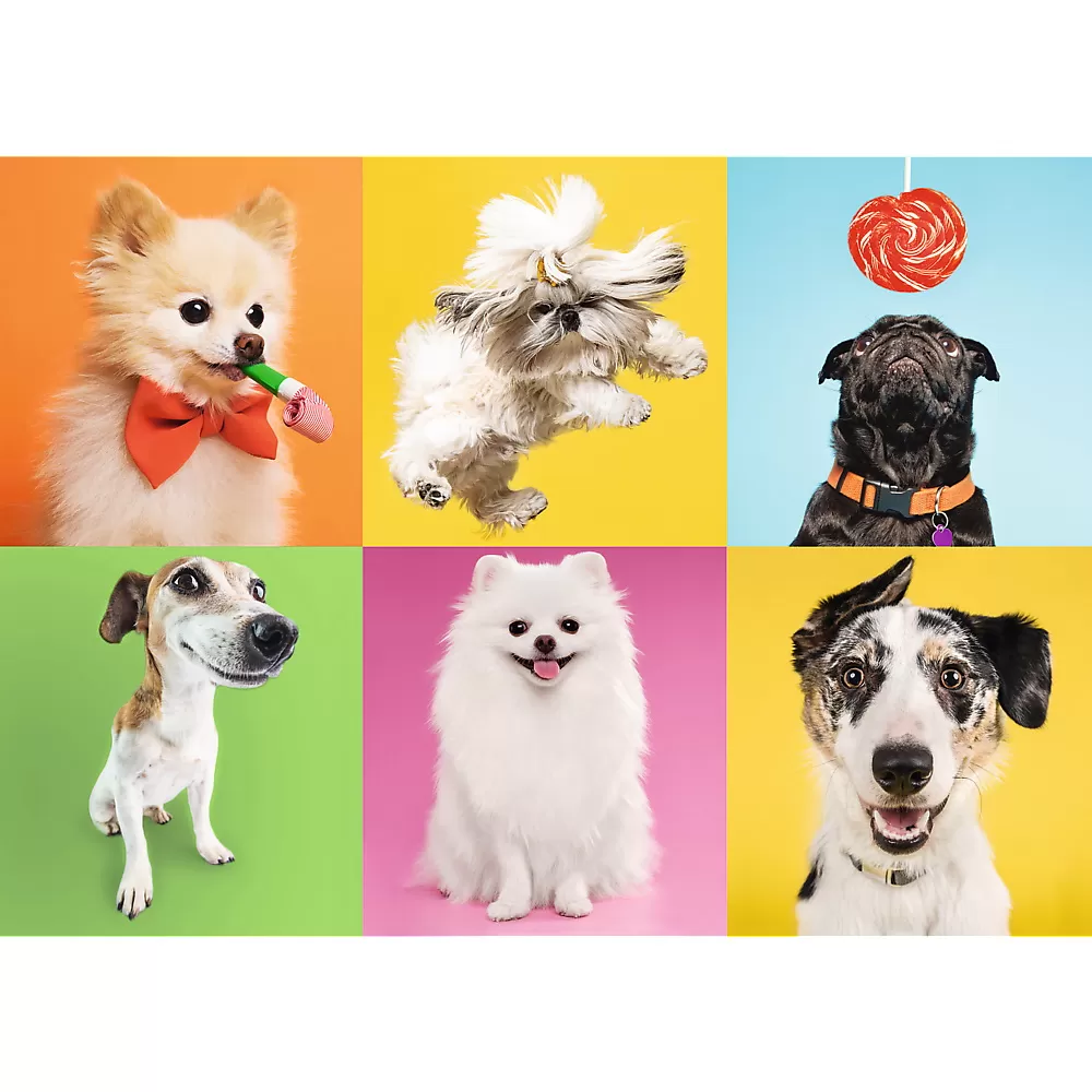 Puzzle trefl 500 catelusi [2]