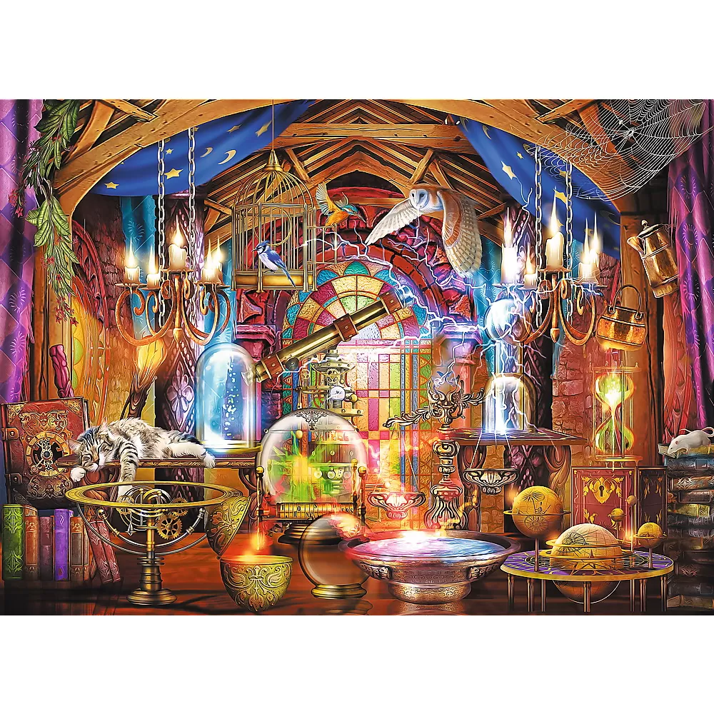 Puzzle trefl din lemn 1000 piese camera magica [2]