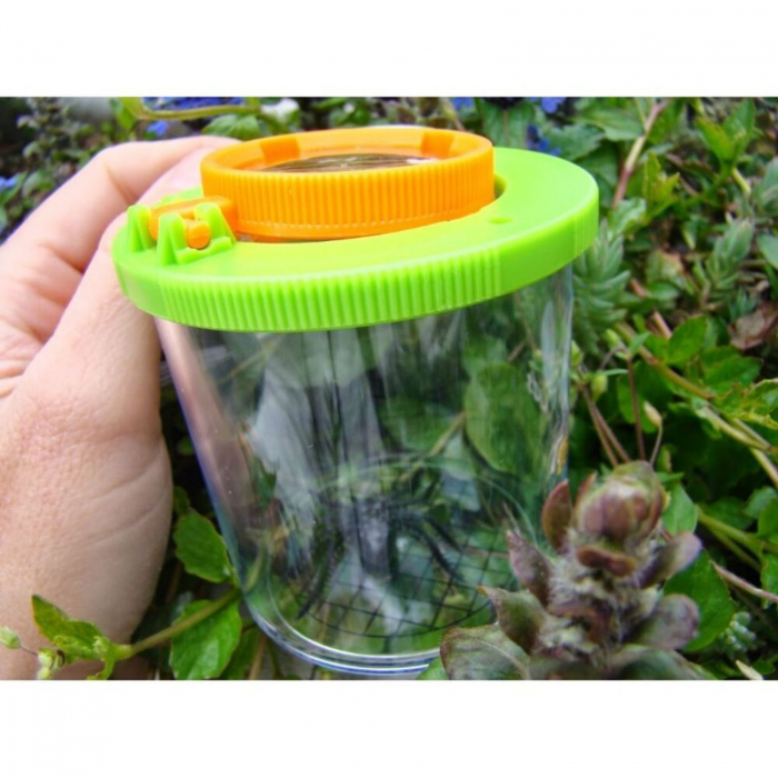 Recipient cu capac si lupa pentru prinderea si cercetarea insectelor ⭐ Micostore.ro [2]