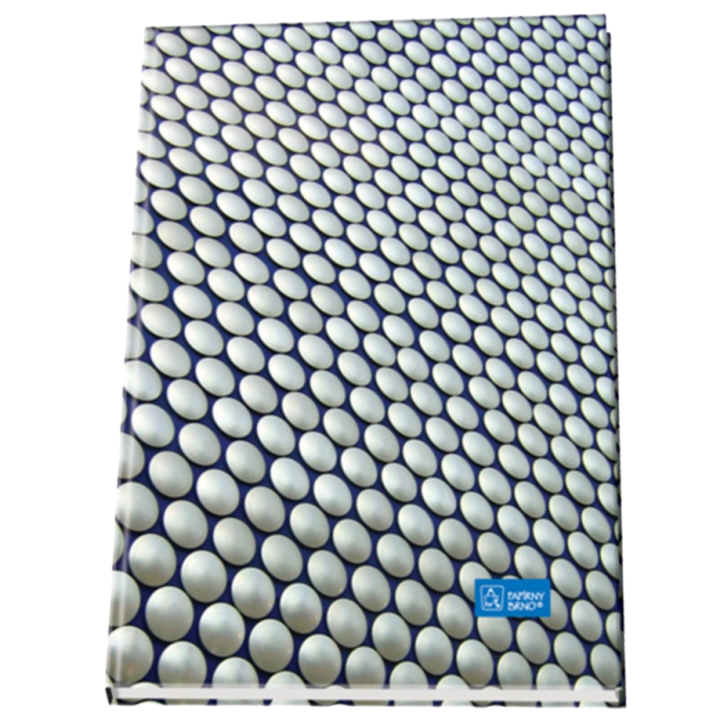 Registru A4 Papirny BRno ZKN 54100 CL, 96 file, velin, coperta cartonata [7]