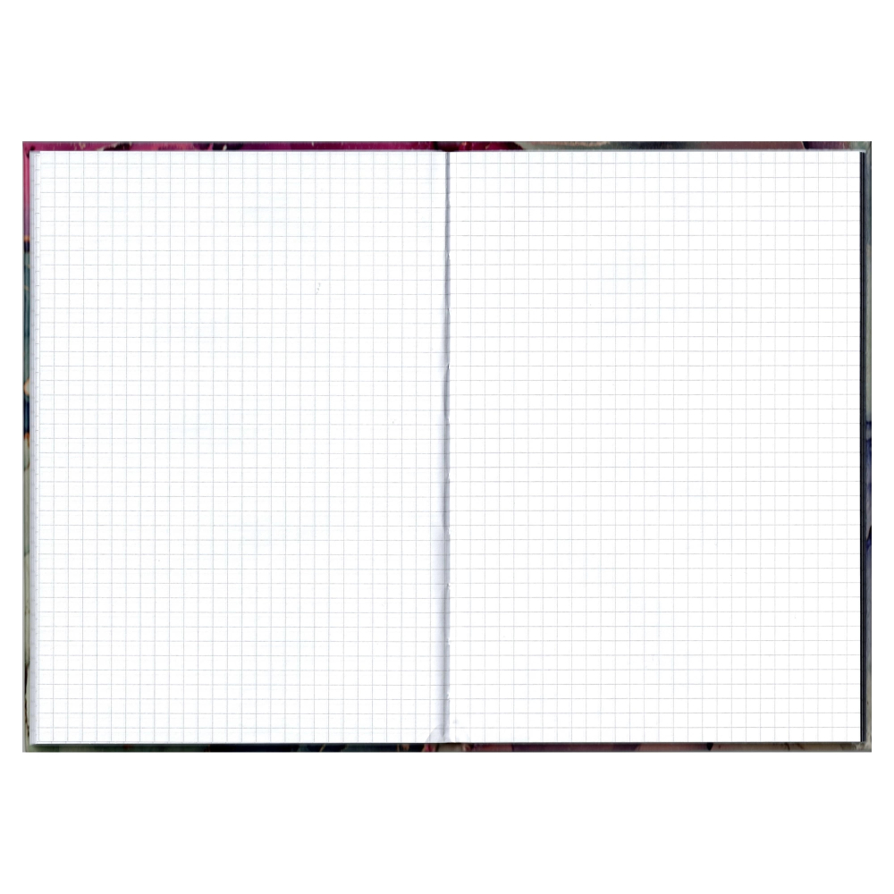 Registru a5 96 file aritmetica diverse modele educa [2]
