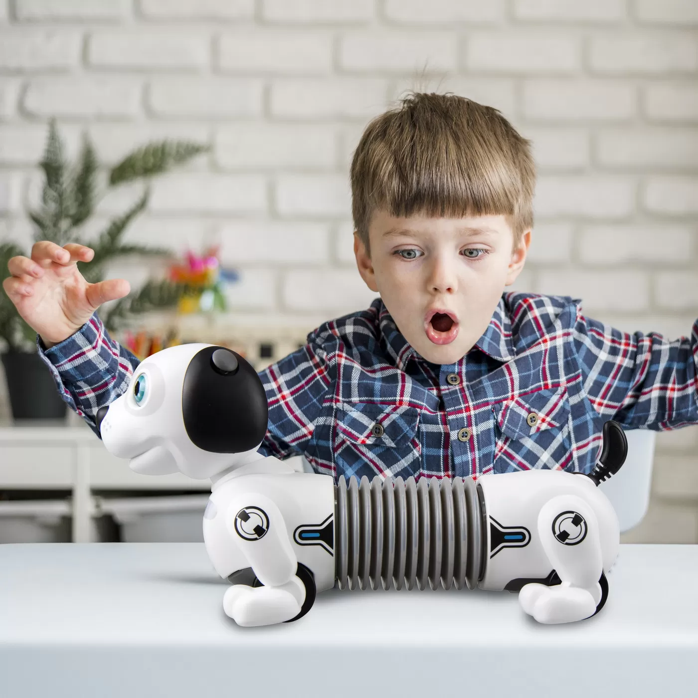 Robot electronic catel dackel junior, varsta de la 5 ani la 10 ani [3]