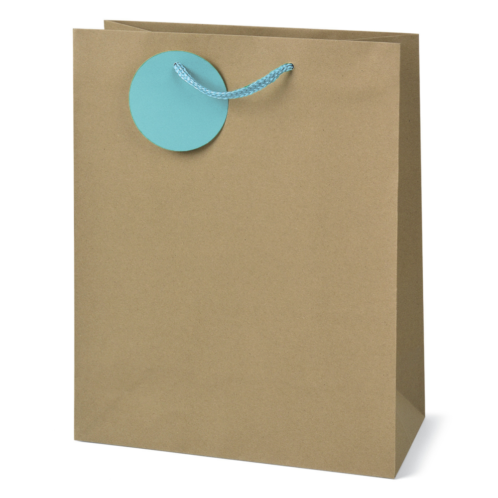 Sacosa Kraft, din hartie cu maner din snur, 17.8 x 23 x 9.8 cm  varsta 6 ani+,8 ani+ [3]