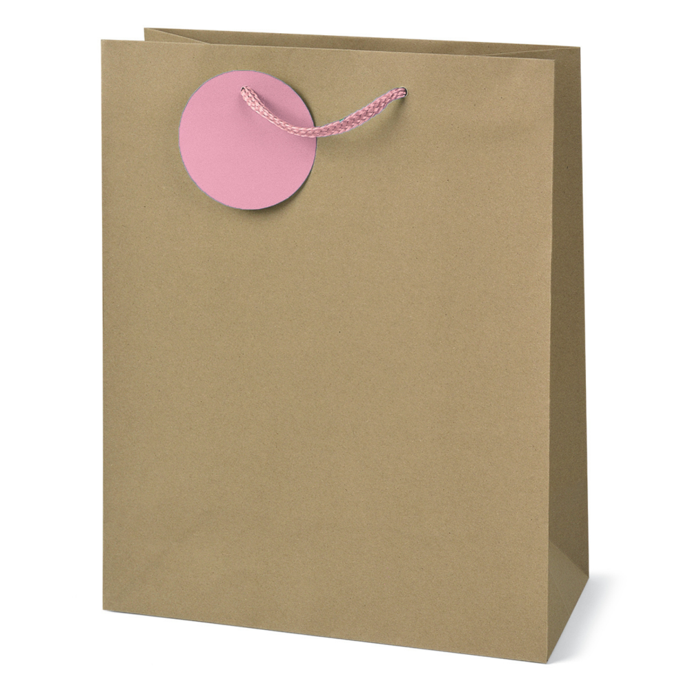 Sacosa Kraft, din hartie cu maner din snur, 17.8 x 23 x 9.8 cm  varsta 6 ani+,8 ani+ [4]